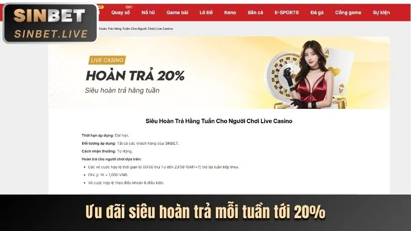 Hoàn trả hàng ngày f8bet80